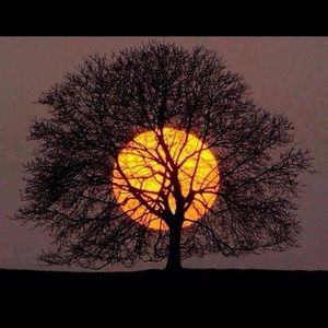 Meet your Posher, Rocio